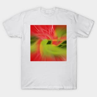 red and green vortex 2 T-Shirt